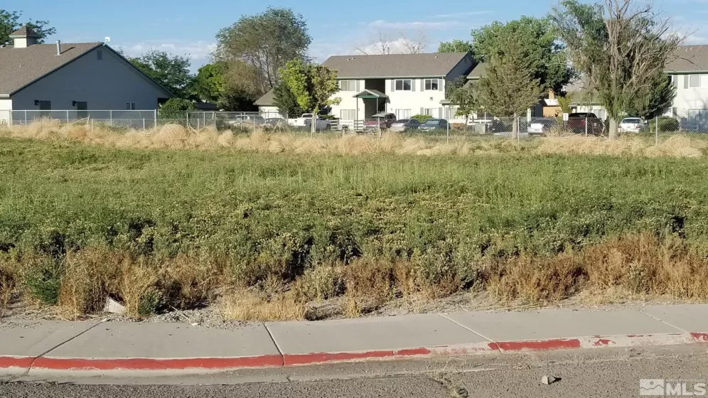 535 Rose Way, Lovelock, Nevada 89419, ,Land,For Sale,Rose Way,240008495