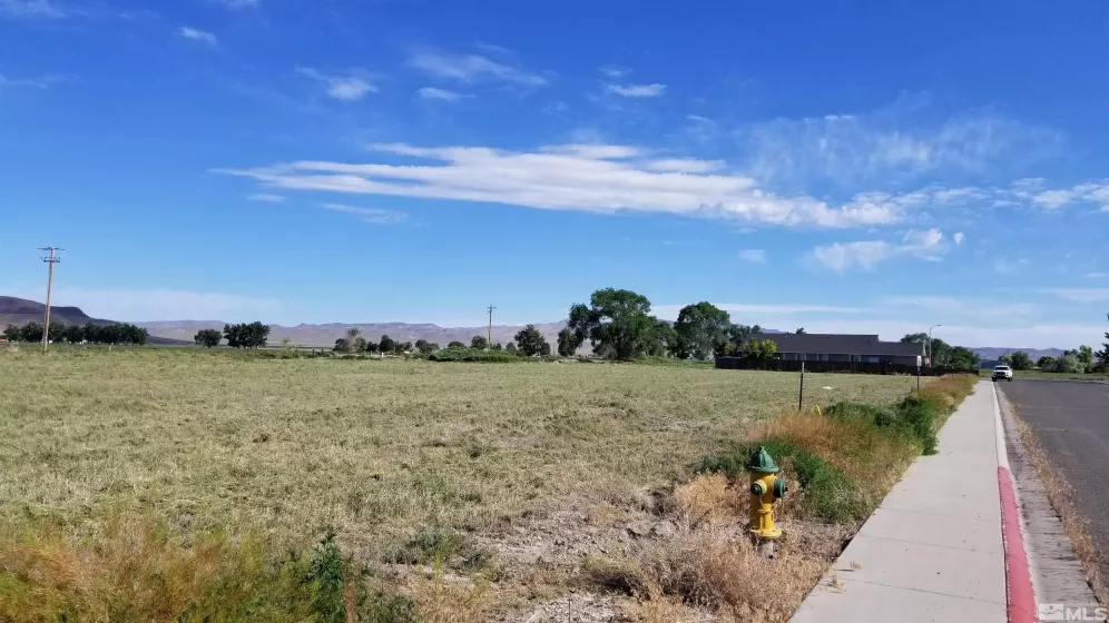 535 Rose Way, Lovelock, Nevada 89419, ,Land,For Sale,Rose Way,240008495