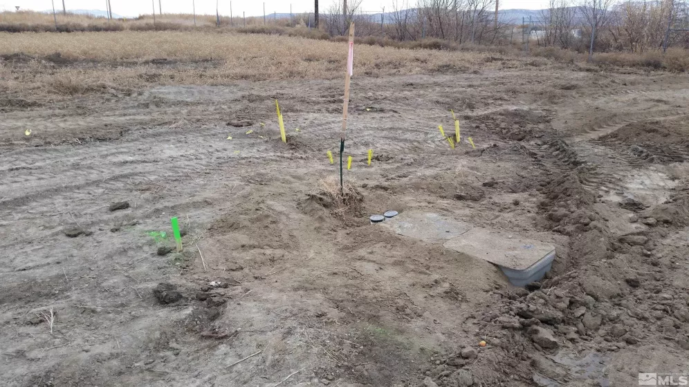 535 Rose Way, Lovelock, Nevada 89419, ,Land,For Sale,Rose Way,240008495