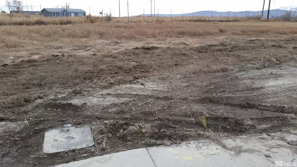 535 Rose Way, Lovelock, Nevada 89419, ,Land,For Sale,Rose Way,240008495
