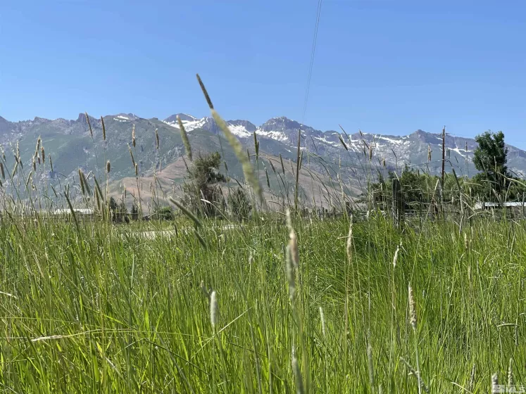 2623 Canyon Road, Lamoille, Nevada 89828, 3 Bedrooms Bedrooms, ,Residential,For Sale,Canyon Road,240008613