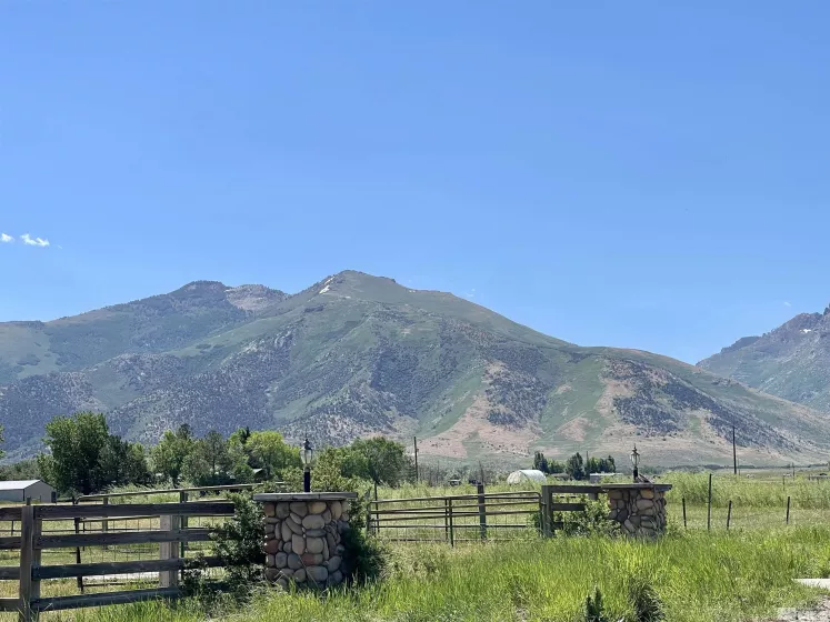 2623 Canyon Road, Lamoille, Nevada 89828, 3 Bedrooms Bedrooms, ,Residential,For Sale,Canyon Road,240008613