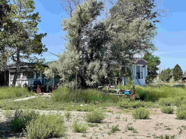 2623 Canyon Road, Lamoille, Nevada 89828, 3 Bedrooms Bedrooms, ,Residential,For Sale,Canyon Road,240008613