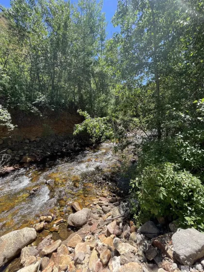 202 Main Street, Jarbidge, Nevada 89826, 1 Bedroom Bedrooms, ,1 BathroomBathrooms,Residential,For Sale,Main Street,240008622