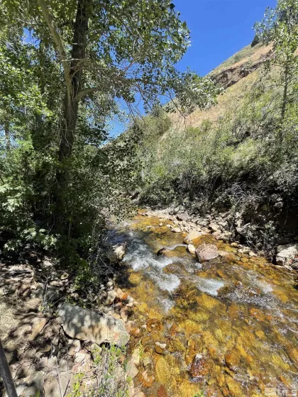 202 Main Street, Jarbidge, Nevada 89826, 1 Bedroom Bedrooms, ,1 BathroomBathrooms,Residential,For Sale,Main Street,240008622