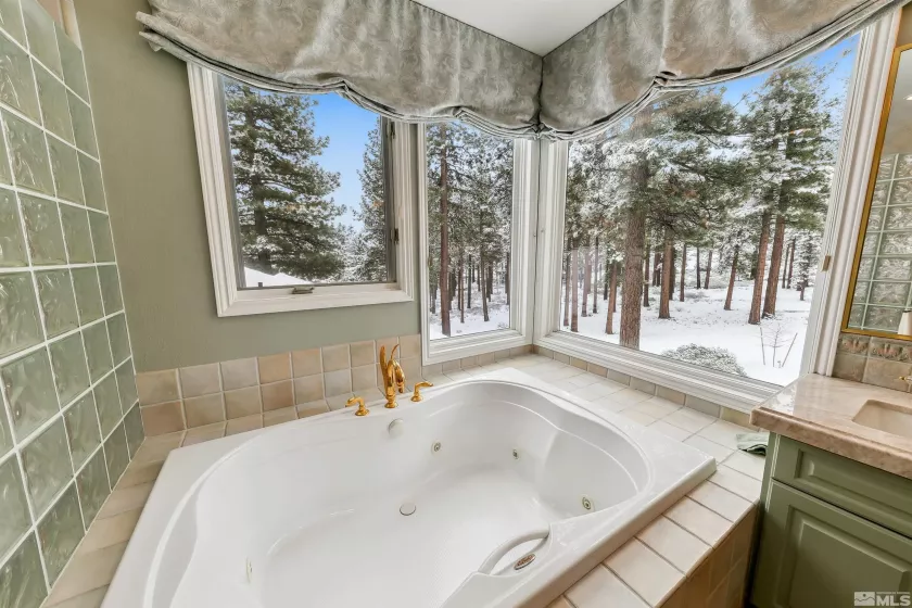 355 Blue Spruce Rd, Reno, Nevada 89511, 4 Bedrooms Bedrooms, ,4 BathroomsBathrooms,Residential,For Sale,Blue Spruce Rd,250003034