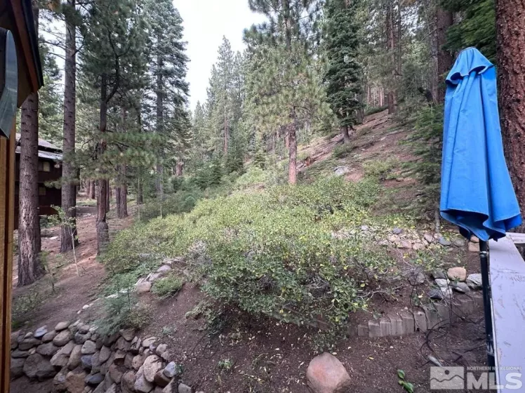 1028 Apollo Way, Incline Village, Nevada 89451, 5 Bedrooms Bedrooms, ,3 BathroomsBathrooms,Residential,For Sale,Apollo Way,250005277