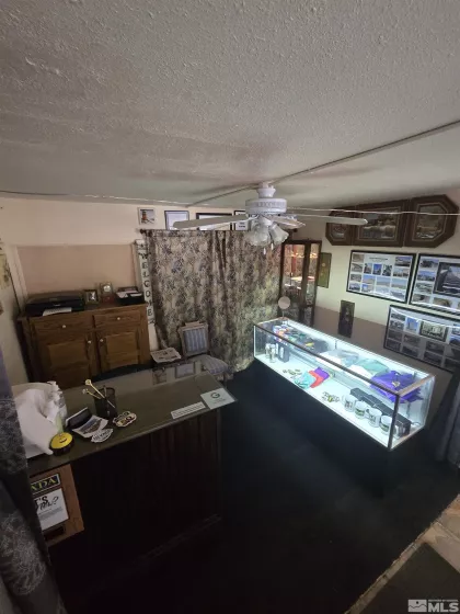 103 Main Street, Austin, Nevada 89310, ,For Sale,Main Street,250005324