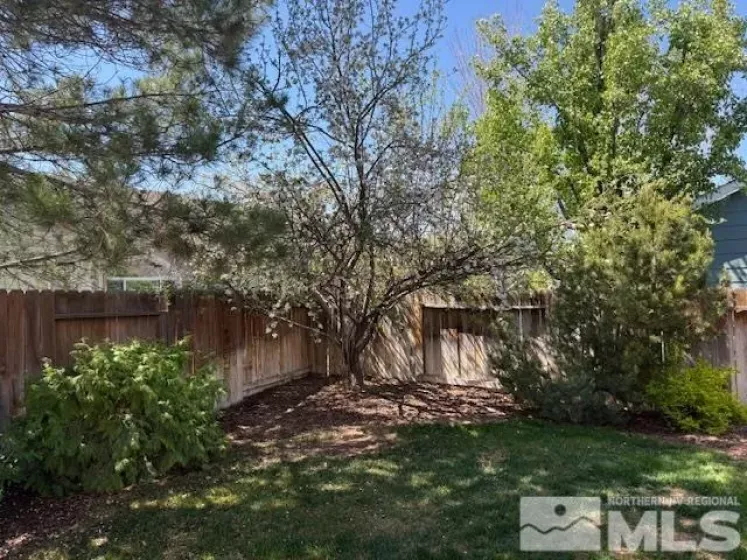 1786 Bougainvillea Dr, Minden, Nevada 89423, 4 Bedrooms Bedrooms, ,2 BathroomsBathrooms,Residential,For Sale,Bougainvillea Dr,250005552