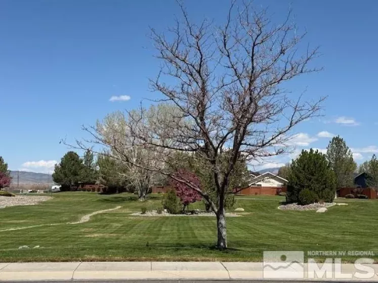 1786 Bougainvillea Dr, Minden, Nevada 89423, 4 Bedrooms Bedrooms, ,2 BathroomsBathrooms,Residential,For Sale,Bougainvillea Dr,250005552