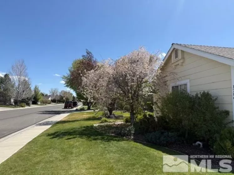 1786 Bougainvillea Dr, Minden, Nevada 89423, 4 Bedrooms Bedrooms, ,2 BathroomsBathrooms,Residential,For Sale,Bougainvillea Dr,250005552