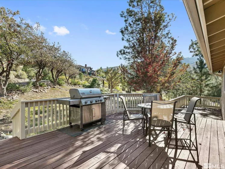 3750 Buckskin Rd, Carson City, Nevada 89703, 4 Bedrooms Bedrooms, ,3 BathroomsBathrooms,Residential,For Sale,Buckskin Rd,250005576