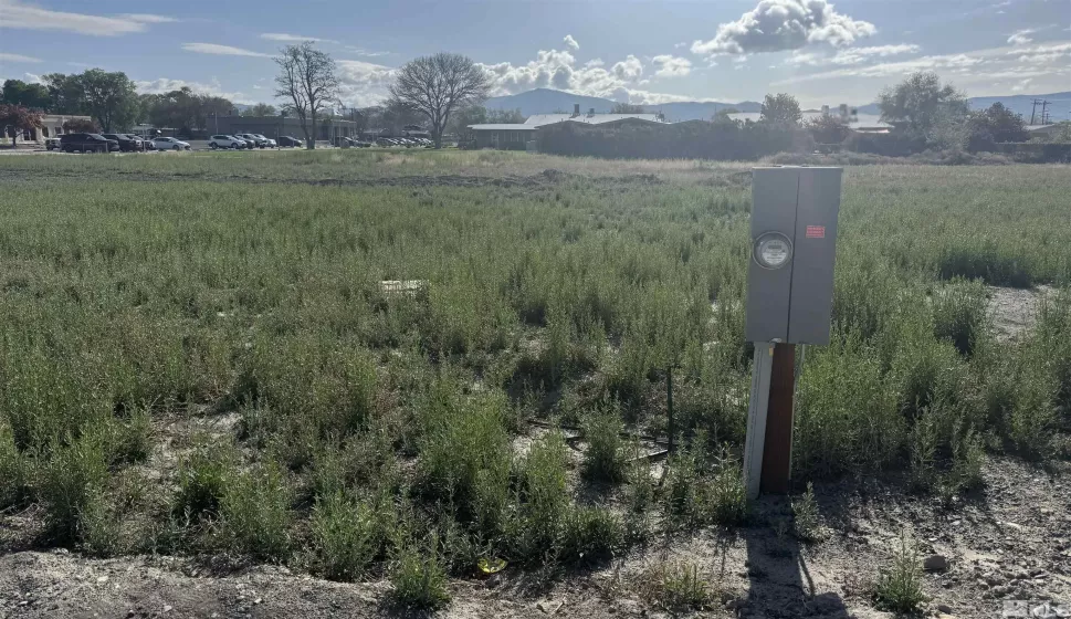 470 Camellia Way, Lovelock, Nevada 89419, ,Land,For Sale,Camellia Way,250005597