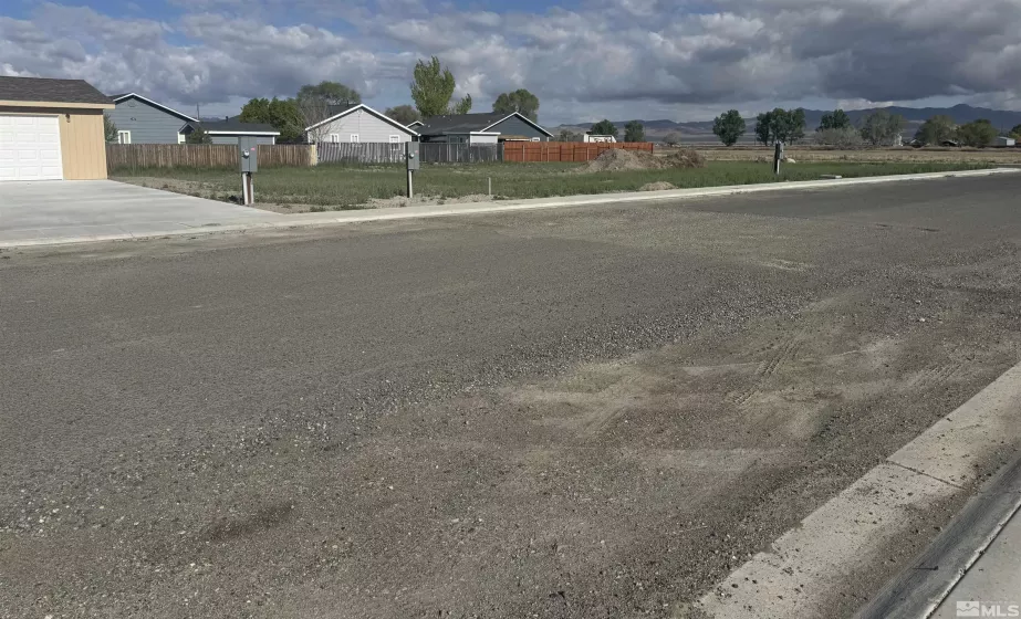 470 Camellia Way, Lovelock, Nevada 89419, ,Land,For Sale,Camellia Way,250005597