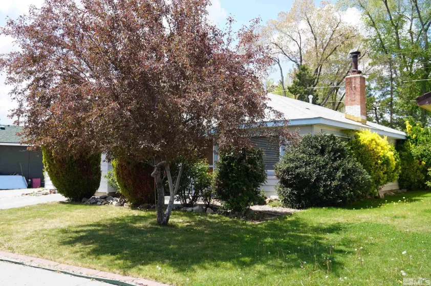 933 Cordone Ave, Reno, Nevada 89502, 3 Bedrooms Bedrooms, ,1 BathroomBathrooms,Residential,For Sale,Cordone Ave,250005614