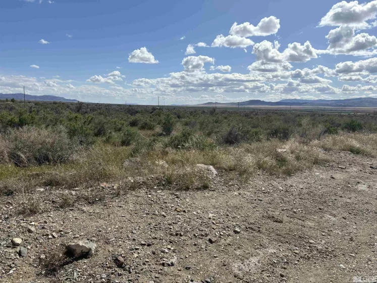 22560 Dorsey Ln, Lovelock, Nevada 89419, ,Land,For Sale,Dorsey Ln,250005693