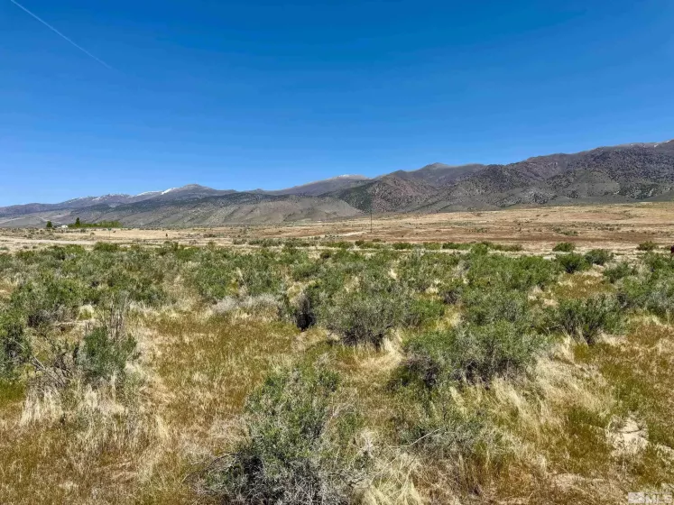 21975 Winterhill Ln, Lovelock, Nevada 89419, ,Land,For Sale,Winterhill Ln,250005705