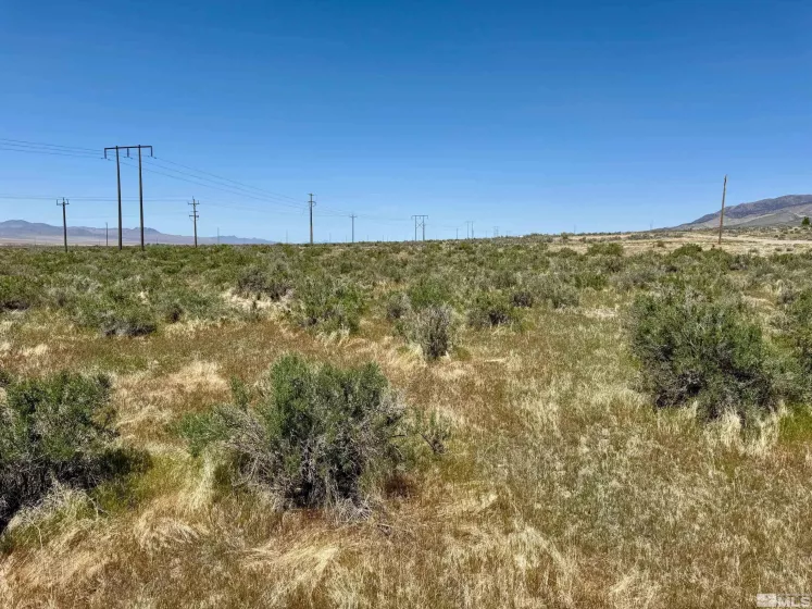 21975 Winterhill Ln, Lovelock, Nevada 89419, ,Land,For Sale,Winterhill Ln,250005705