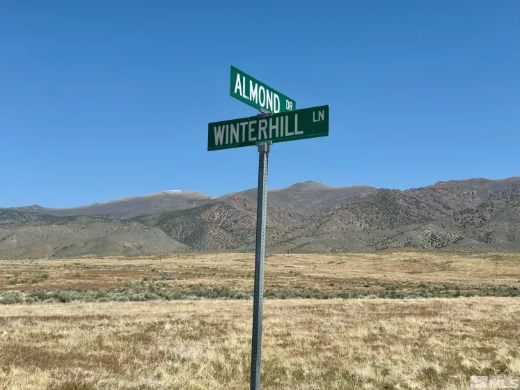 21975 Winterhill Ln, Lovelock, Nevada 89419, ,Land,For Sale,Winterhill Ln,250005705