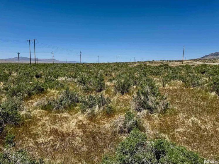 21975 Winterhill Ln, Lovelock, Nevada 89419, ,Land,For Sale,Winterhill Ln,250005705
