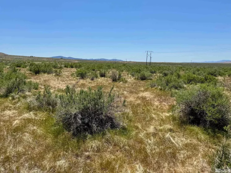 21975 Winterhill Ln, Lovelock, Nevada 89419, ,Land,For Sale,Winterhill Ln,250005705