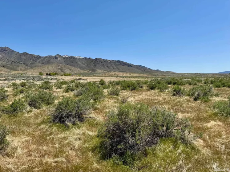 21975 Winterhill Ln, Lovelock, Nevada 89419, ,Land,For Sale,Winterhill Ln,250005705