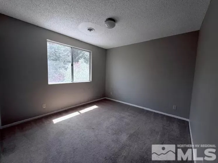 6700 Sandia Dr, Reno, Nevada 89523, 4 Bedrooms Bedrooms, ,2 BathroomsBathrooms,Residential,For Sale,Sandia Dr,250005712