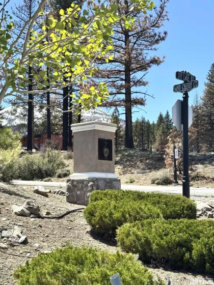 600 Sand Cherry Ct, Reno, Nevada 89511, ,Land,For Sale,Sand Cherry Ct,250005718