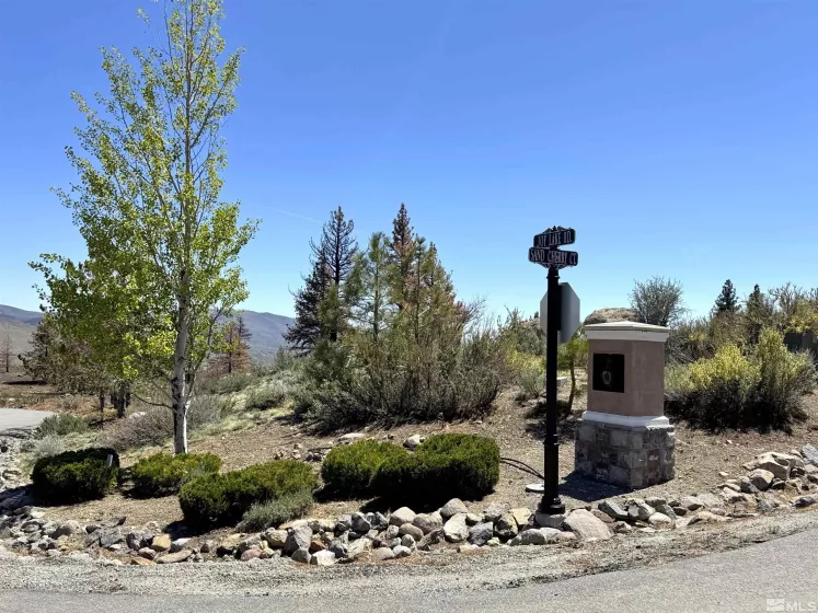 600 Sand Cherry Ct, Reno, Nevada 89511, ,Land,For Sale,Sand Cherry Ct,250005718