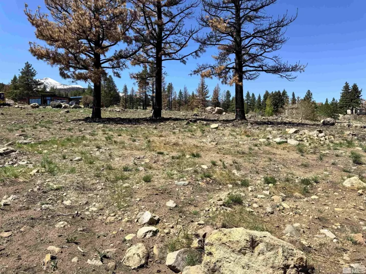 600 Sand Cherry Ct, Reno, Nevada 89511, ,Land,For Sale,Sand Cherry Ct,250005718