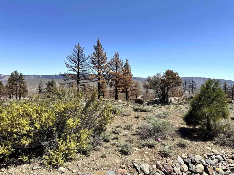 600 Sand Cherry Ct, Reno, Nevada 89511, ,Land,For Sale,Sand Cherry Ct,250005718