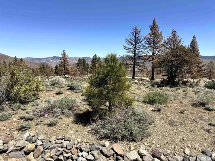 600 Sand Cherry Ct, Reno, Nevada 89511, ,Land,For Sale,Sand Cherry Ct,250005718