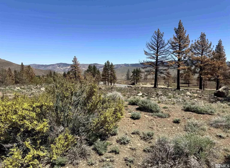 600 Sand Cherry Ct, Reno, Nevada 89511, ,Land,For Sale,Sand Cherry Ct,250005718
