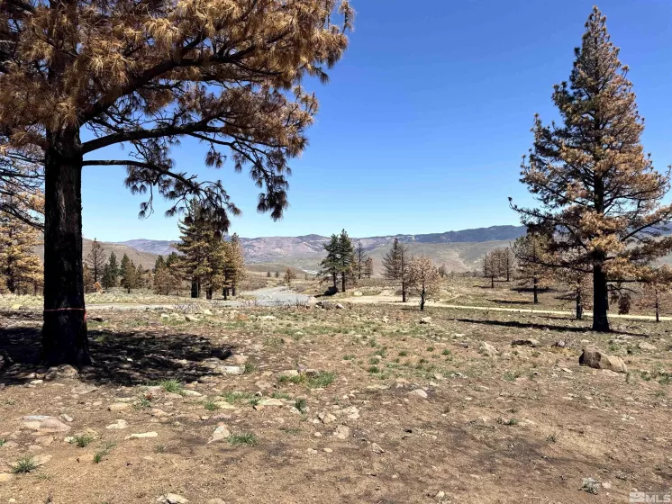 600 Sand Cherry Ct, Reno, Nevada 89511, ,Land,For Sale,Sand Cherry Ct,250005718