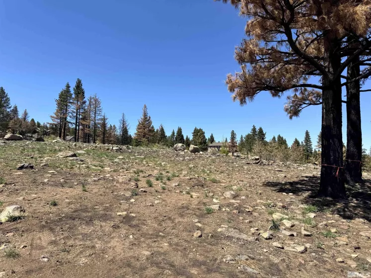 600 Sand Cherry Ct, Reno, Nevada 89511, ,Land,For Sale,Sand Cherry Ct,250005718