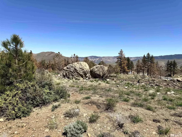 600 Sand Cherry Ct, Reno, Nevada 89511, ,Land,For Sale,Sand Cherry Ct,250005718