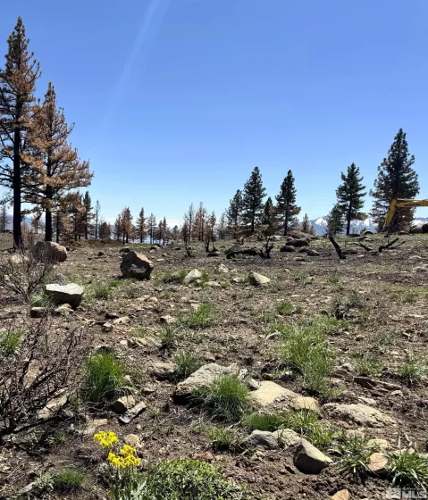 600 Sand Cherry Ct, Reno, Nevada 89511, ,Land,For Sale,Sand Cherry Ct,250005718