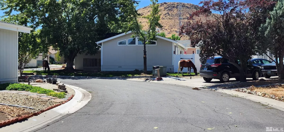 289 Ave De La Demerald, Sparks, Nevada 89434, 3 Bedrooms Bedrooms, ,2 BathroomsBathrooms,Residential,For Sale,Ave De La Demerald,250005817