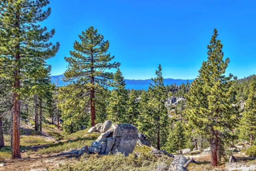 256 Benjamin, Stateline, Nevada 89449, 5 Bedrooms Bedrooms, ,6 BathroomsBathrooms,Residential,Residential,Benjamin,230013244