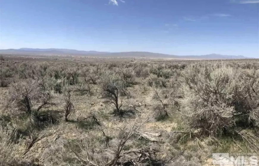 11155 Beaumont, Lovelock, Nevada 89419, ,Land,Residential,Beaumont,250005547