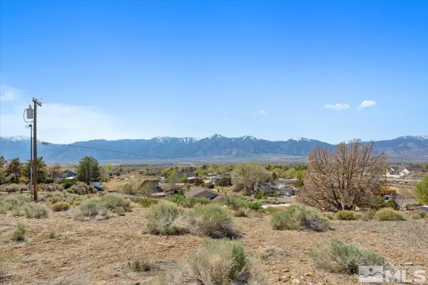 2583 Nye, Minden, Nevada 89423, 4 Bedrooms Bedrooms, ,3 BathroomsBathrooms,Residential,Residential,Nye,250005305