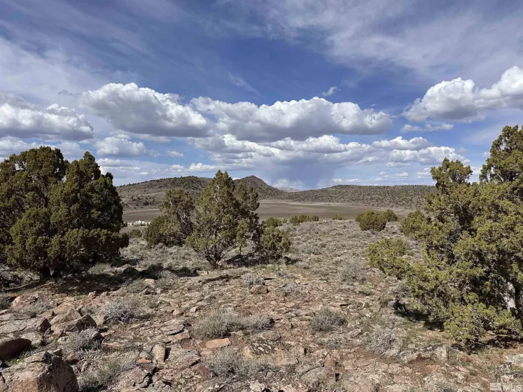 3520 Dry Lake, Reno, Nevada 89521, ,Land,Residential,Dry Lake,250005508