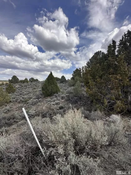 3520 Dry Lake, Reno, Nevada 89521, ,Land,Residential,Dry Lake,250005508
