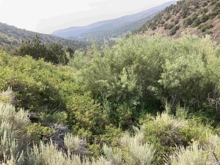 8531 Quaking Aspen, Reno, Nevada 89510, ,Land,Residential,Quaking Aspen,250005518