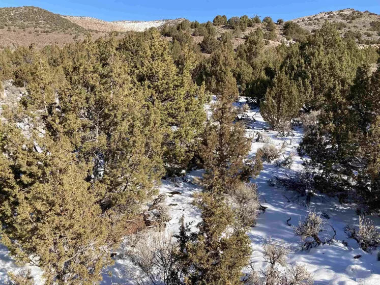 8531 Quaking Aspen, Reno, Nevada 89510, ,Land,Residential,Quaking Aspen,250005518