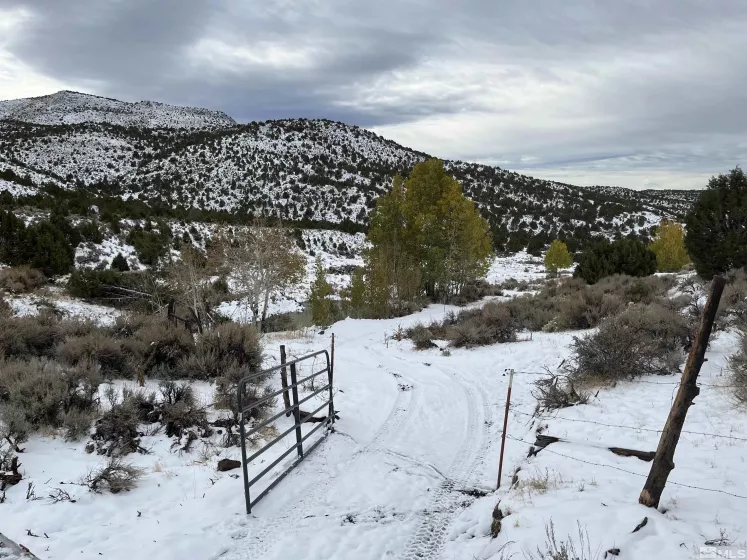 8531 Quaking Aspen, Reno, Nevada 89510, ,Land,Residential,Quaking Aspen,250005518