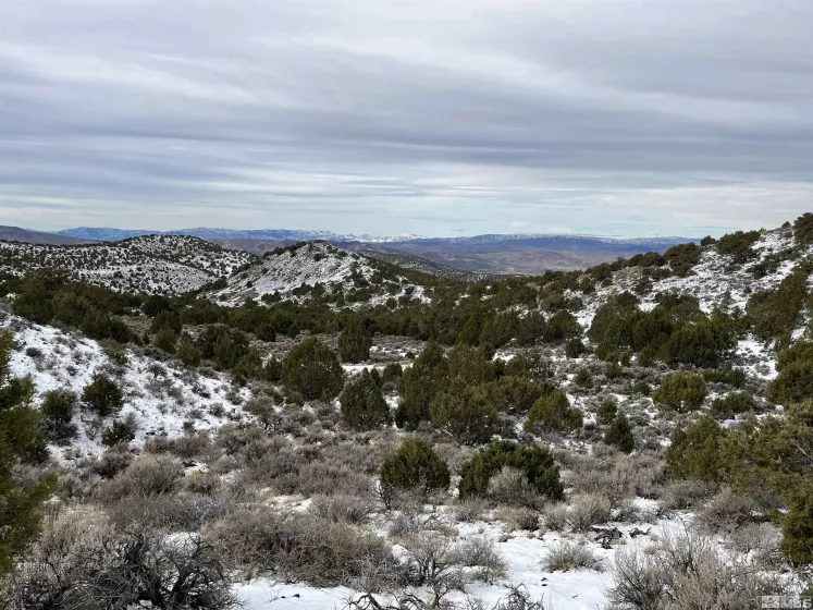 8531 Quaking Aspen, Reno, Nevada 89510, ,Land,Residential,Quaking Aspen,250005518