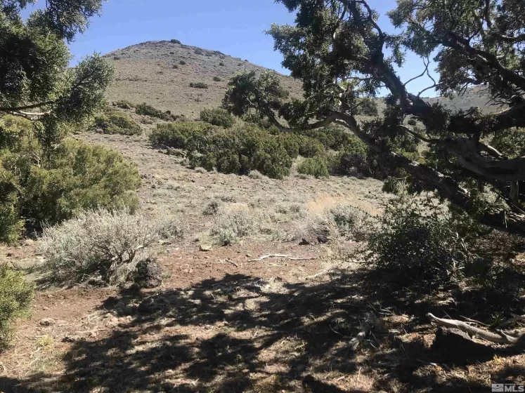 8531 Quaking Aspen, Reno, Nevada 89510, ,Land,Residential,Quaking Aspen,250005518