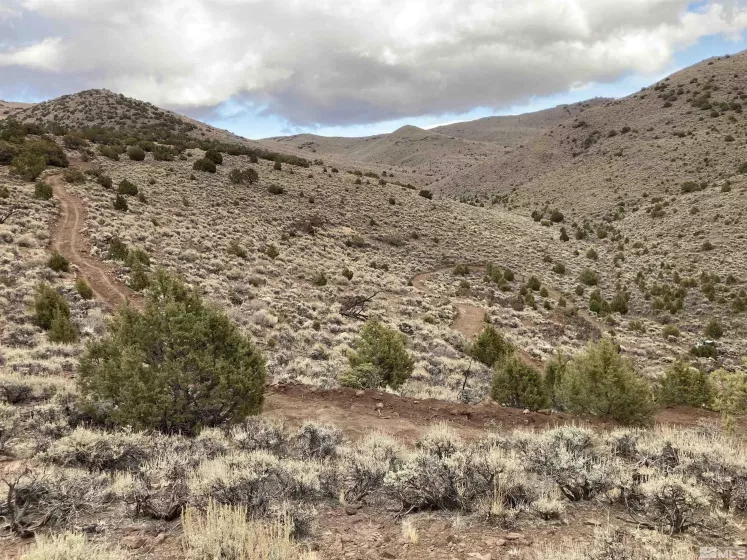 8531 Quaking Aspen, Reno, Nevada 89510, ,Land,Residential,Quaking Aspen,250005518