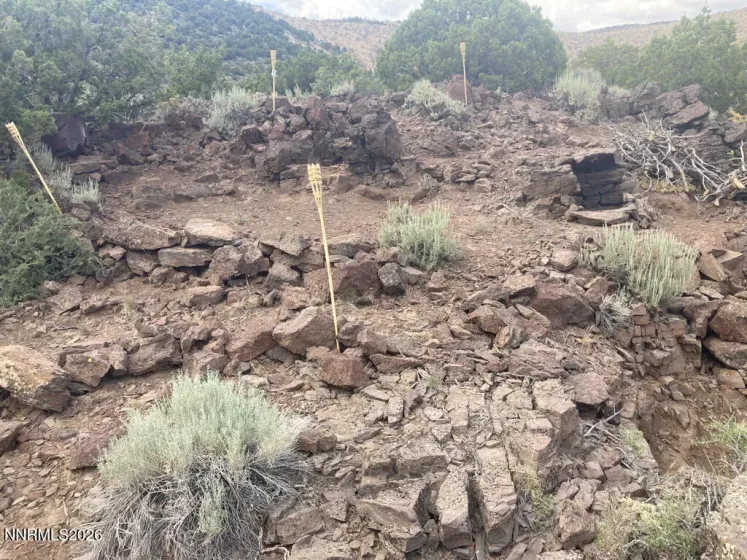 8531 Quaking Aspen, Reno, Nevada 89510, ,Land,Residential,Quaking Aspen,250005518